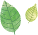 葉のイラスト