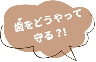 歯をどうやって守る？