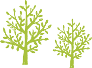 木のイラスト