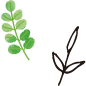 葉と草のイラスト
