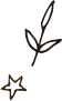 葉と星のイラスト