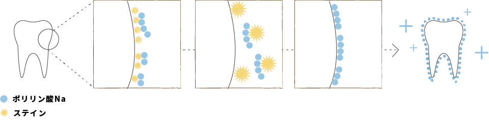 スーパーポリリンホワイトニングの仕組みを説明したイラスト
