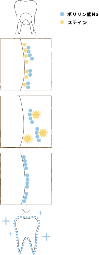 スーパーポリリンホワイトニングの仕組みを説明したイラスト