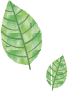 葉のイラスト